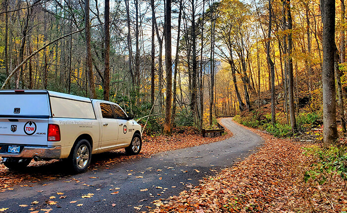 qhse-hse-environment-regulation-vehicle-forest