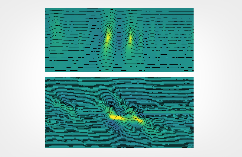 Brain and brawn essay 08 picture