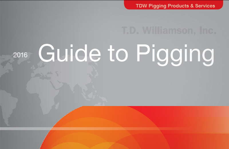 TDW_GuideToPigging-Ebook