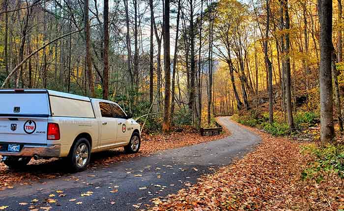 qhse-hse-environment-regulation-vehicle-forest