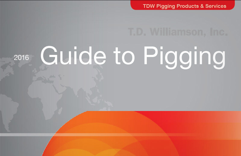 TDW_GuideToPigging-Ebook