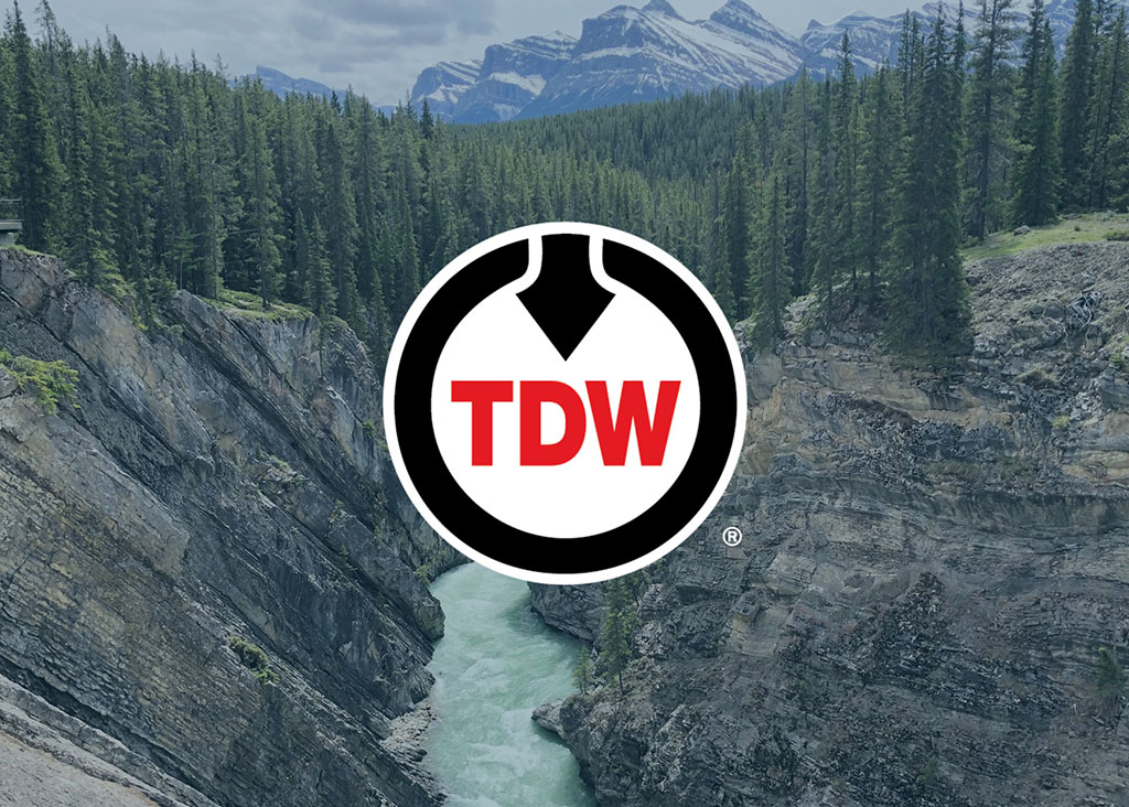 TDW Logo on Landscape Background