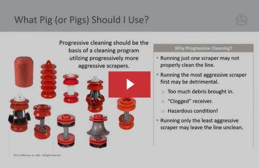 Pig3-Webinar