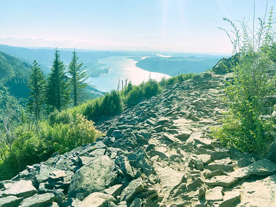 Green landscape looking far into the horizon