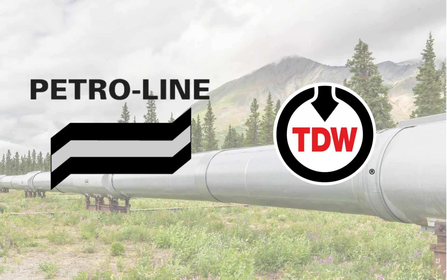 public://2024-12/Petroline-TDW-PR_0.png